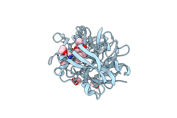 5QBL image