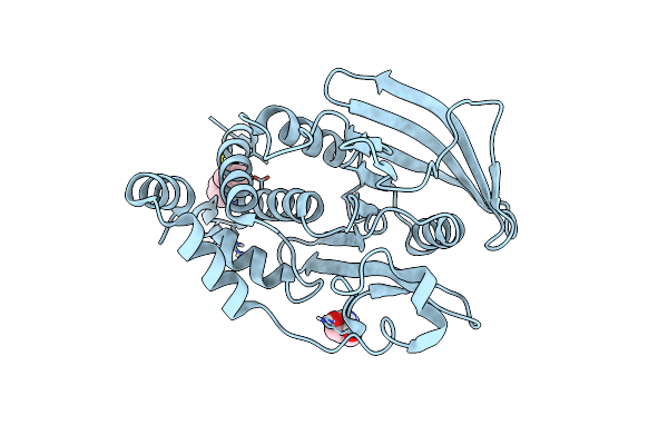 5QDF image