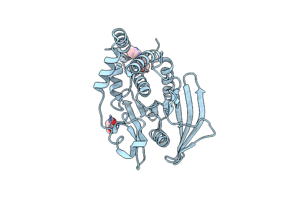5QDK image