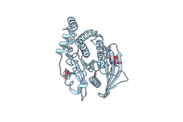 5QDL image