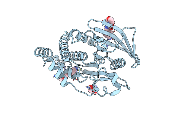 5QDS image