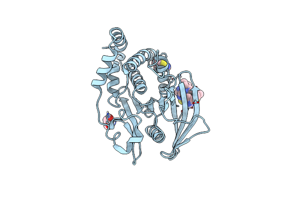 5QDU image