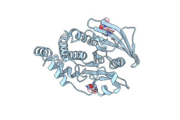 5QDW image