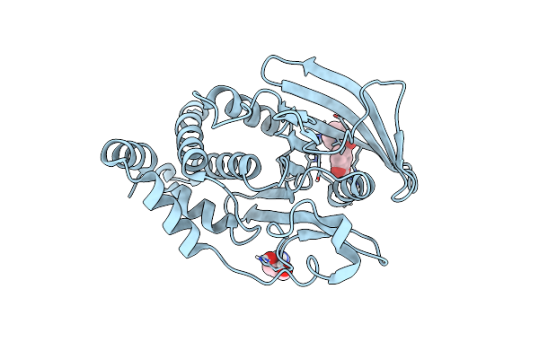 5QDZ image