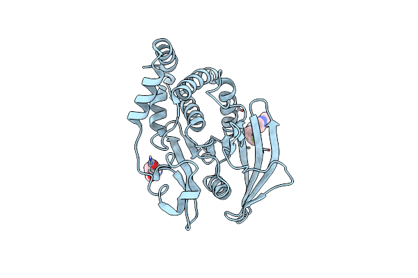 5QE3 image