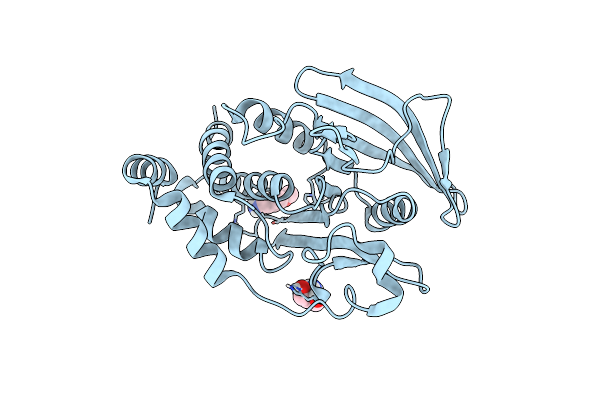 5QE7 image