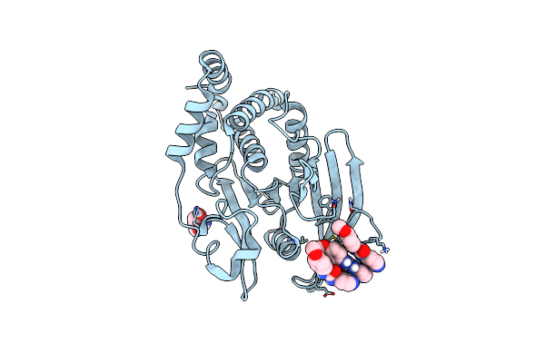 5QE8 image