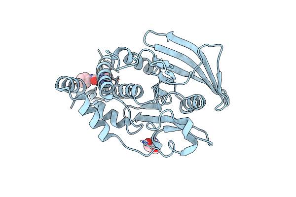 5QE9 image