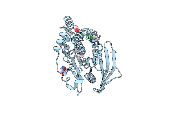 5QED image