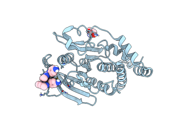 5QEG image