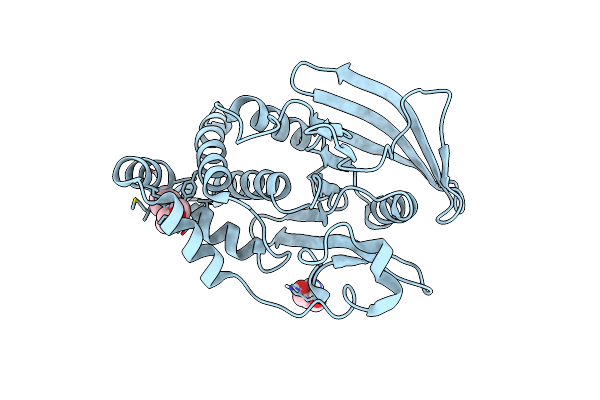 5QEH image