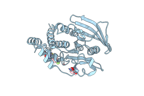 5QEP image