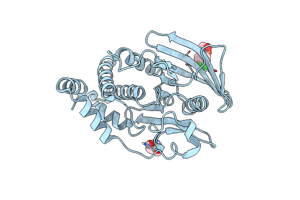 5QES image