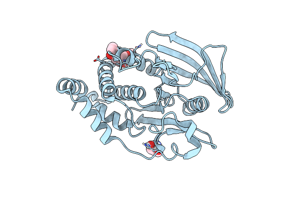 5QEX image
