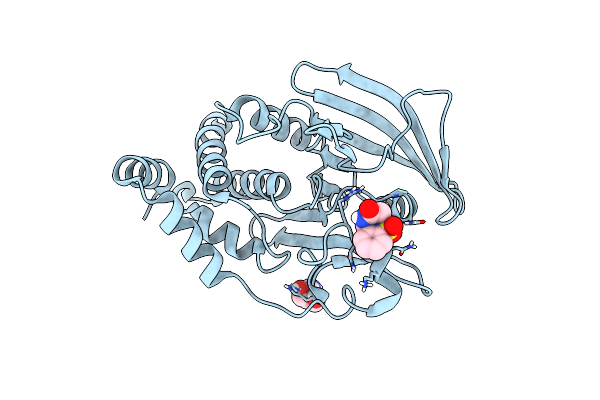 5QFD image