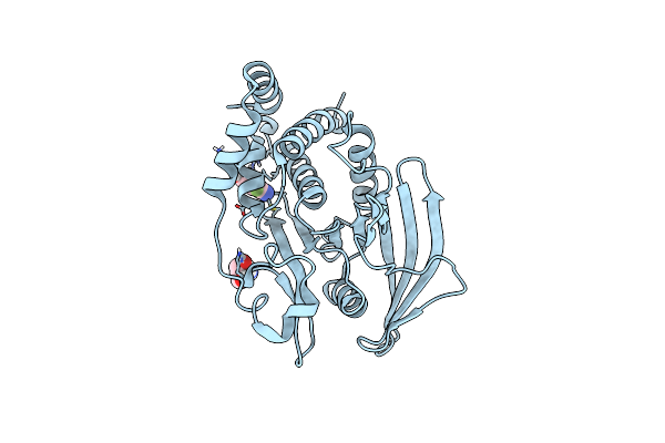5QFO image