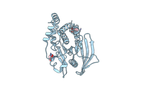 5QFP image