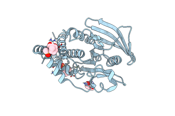 5QFR image