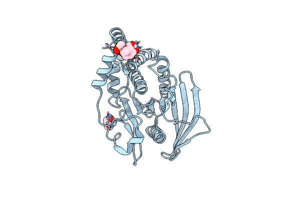 5QFW image