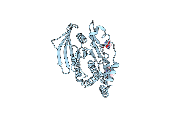 5QG2 image