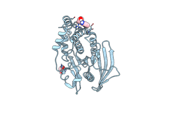 5QG8 image