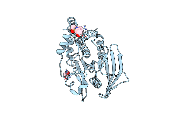5QGD image