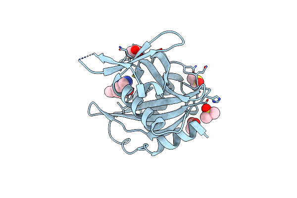 5QGP image