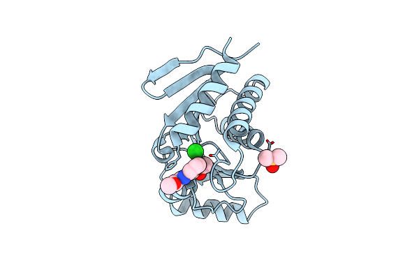 5QIA image