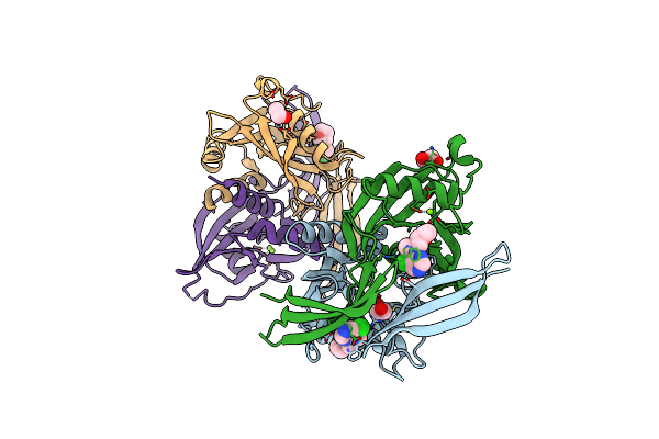 5QJB image