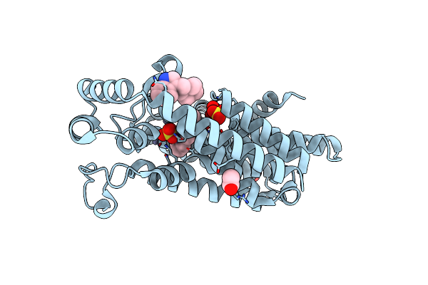 5QPG image
