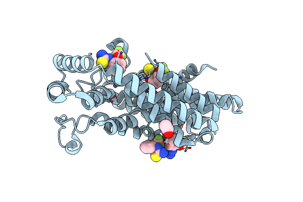 5QPP image