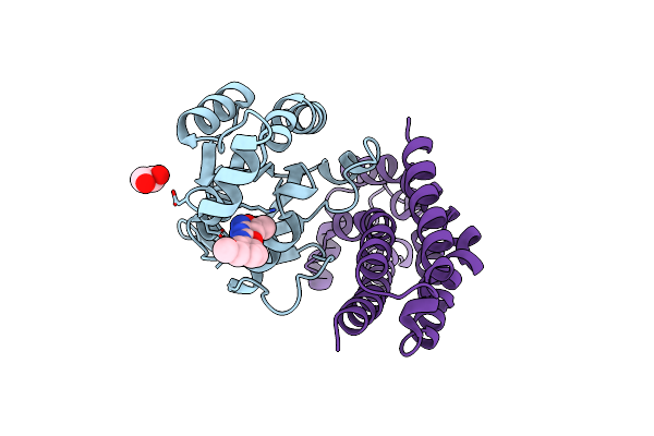 5QQI image