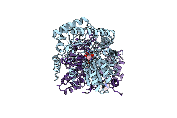 5QQR image
