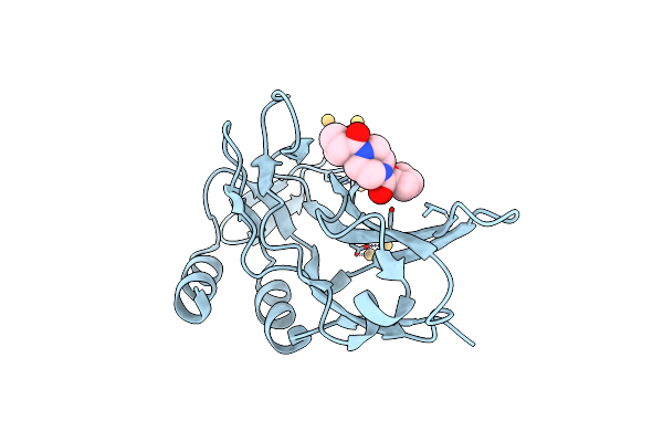 5QRH image