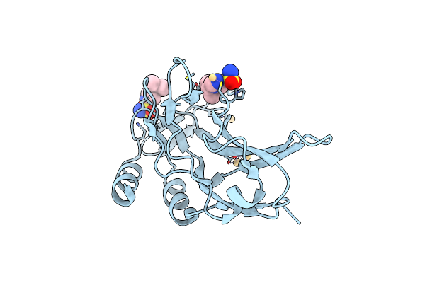 5QRW image