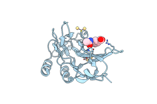 5QRX image