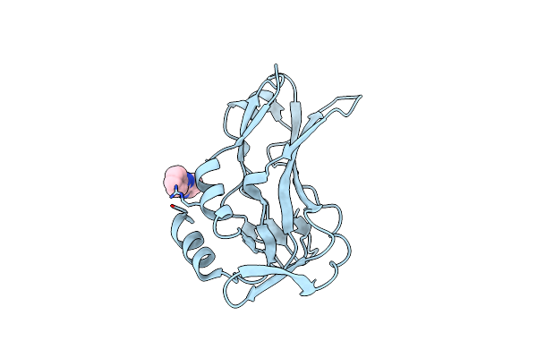 5QS6 image