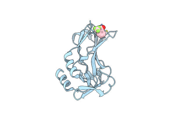 5QSA image