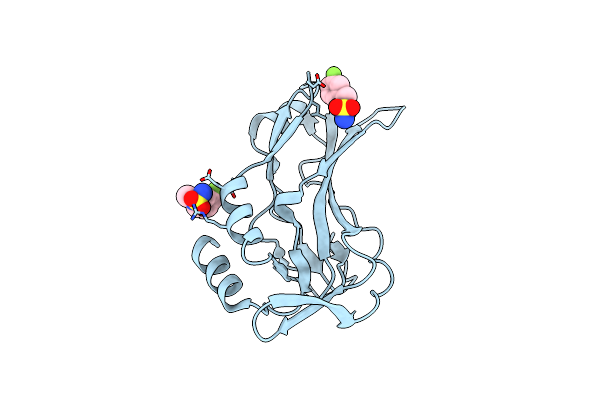 5QSC image