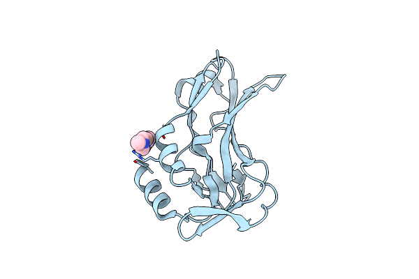 5QSG image