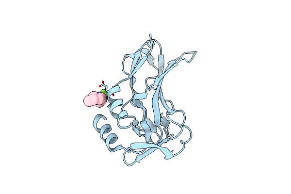 5QSH image