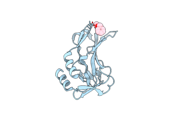 5QSI image