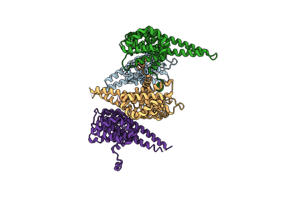5QSU image