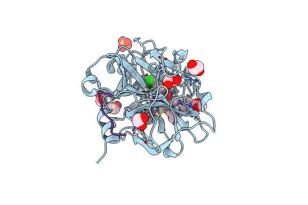 5QTU image