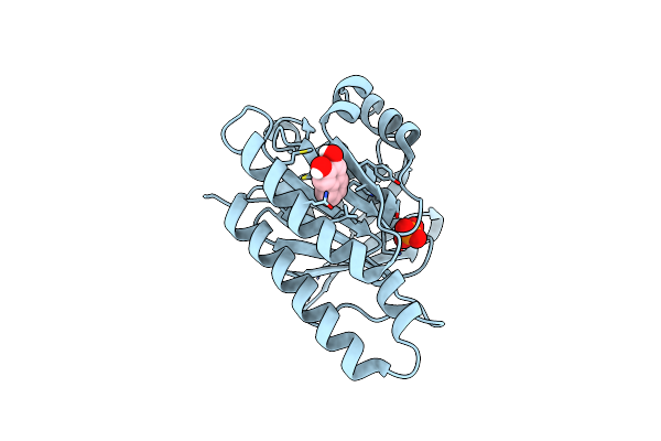 5QUB image
