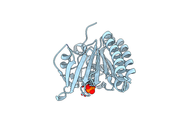 5QUN image