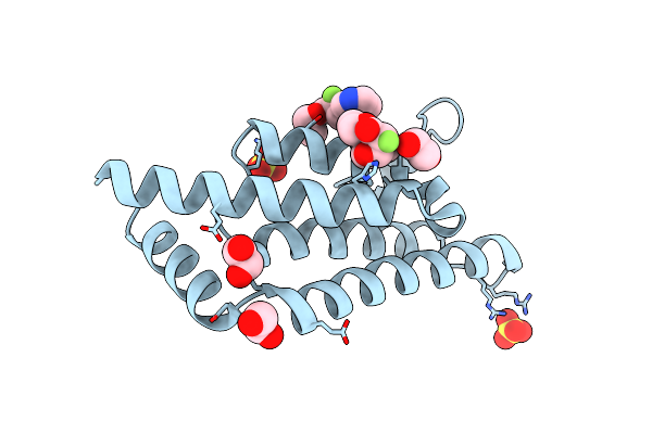 5QXT image