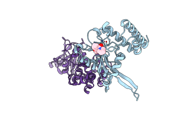 5R0F image
