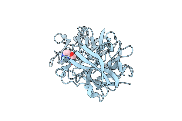 5R1V image