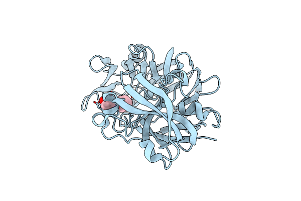 5R20 image